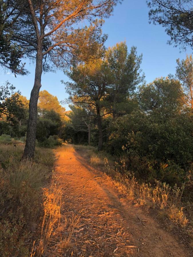 ホテル Les Cabanons Sainte Victoire エクステリア 写真